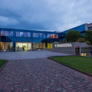 Histoire de DIADORA : Une marque au parcours atypique. 11