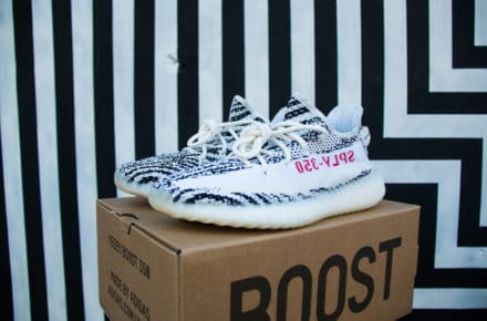Yeezy Zebra