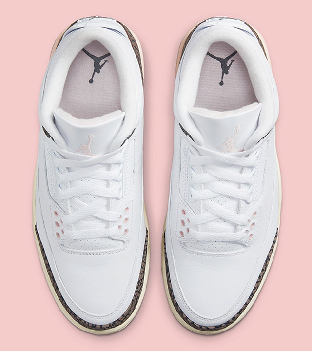 Air Jordan 3 Dark Mocha Neapolitan