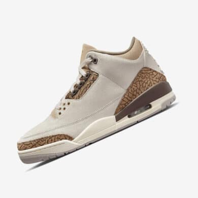 Air Jordan 3 Palomino CT8532-102