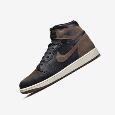 Air Jordan 1 Palomino DZ5485-020