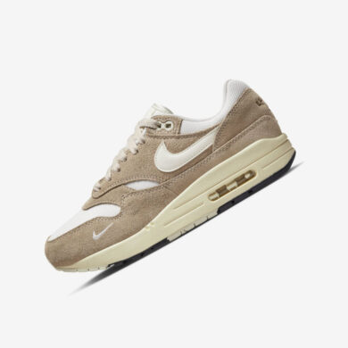 Nike Air Max 1 Hangul Day FQ8150-133
