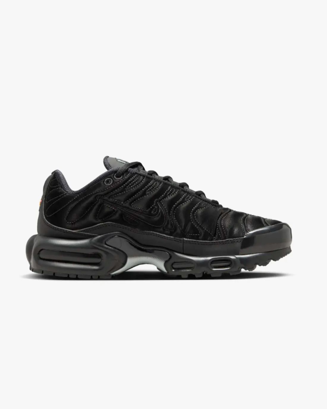 Nike Air Max Plus Black Anthracite FV1169-001