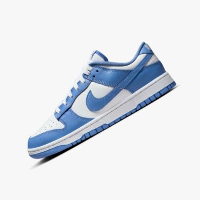 Nike Dunk Low Polar Blue DV0833-400
