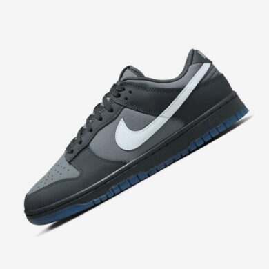 Nike Dunk Low Anthracite FV0384-001