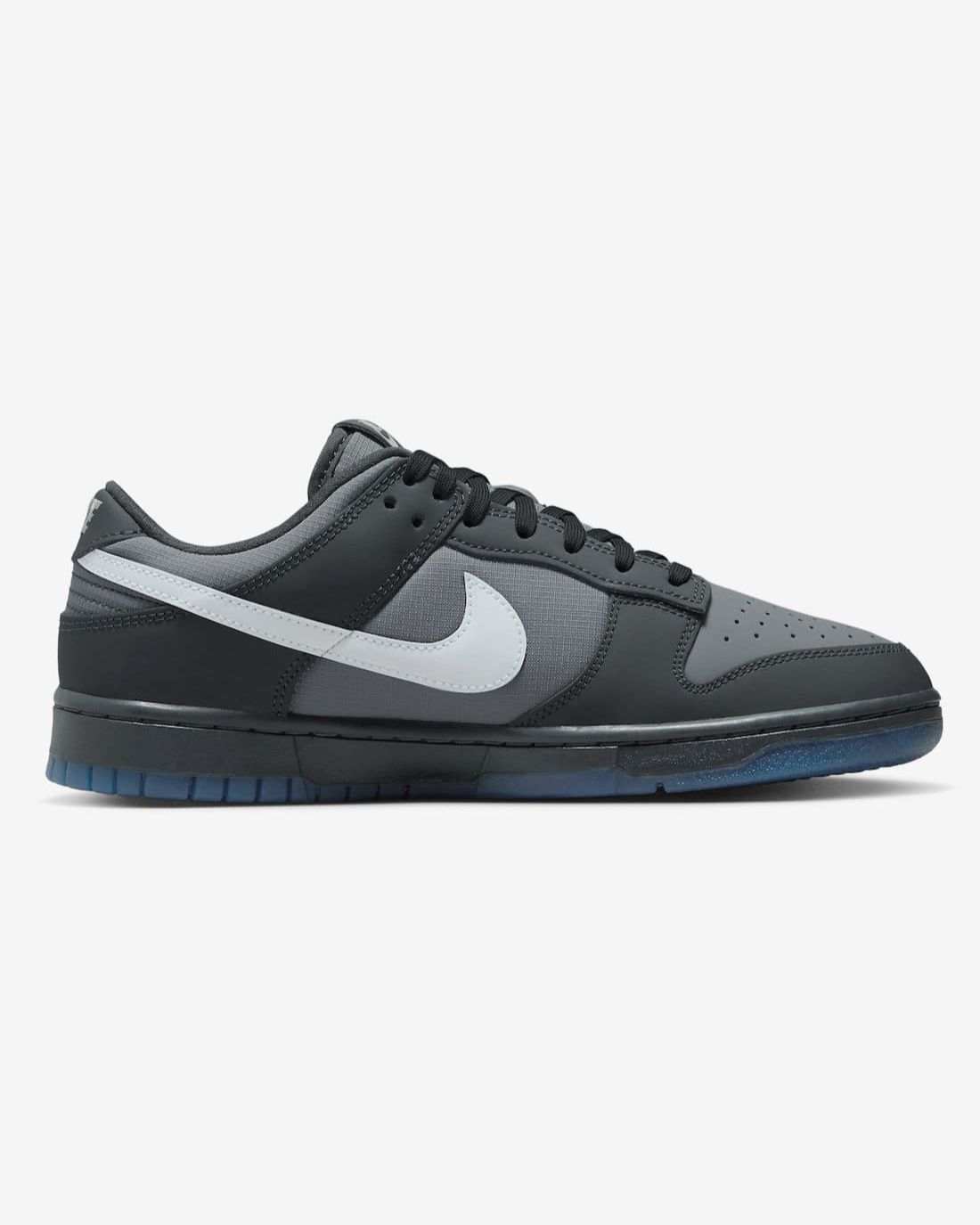 Nike Dunk Low Anthracite FV0384-001