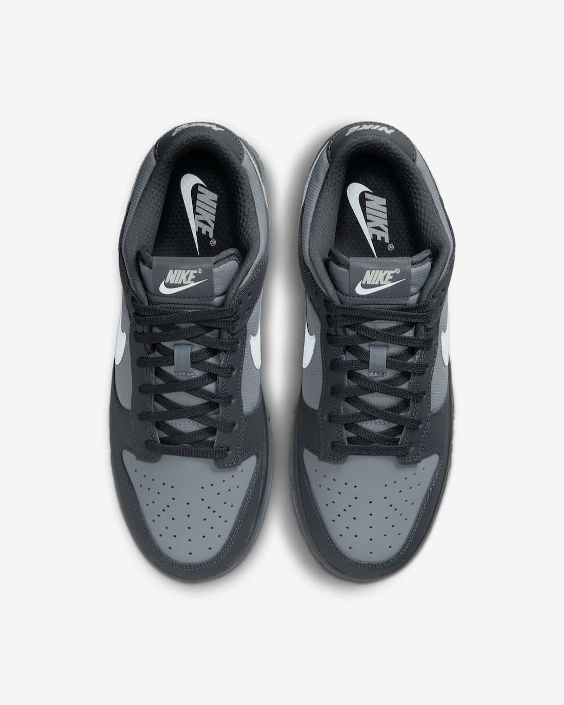 Nike Dunk Low Anthracite FV0384-001