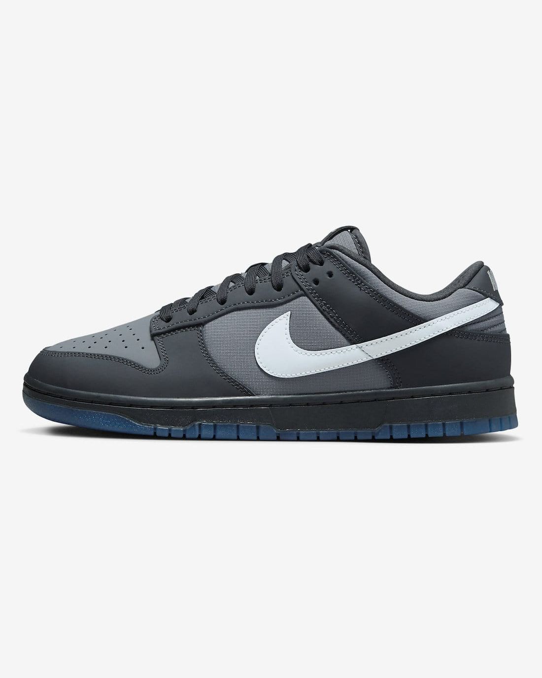 Nike Dunk Low Anthracite FV0384-001