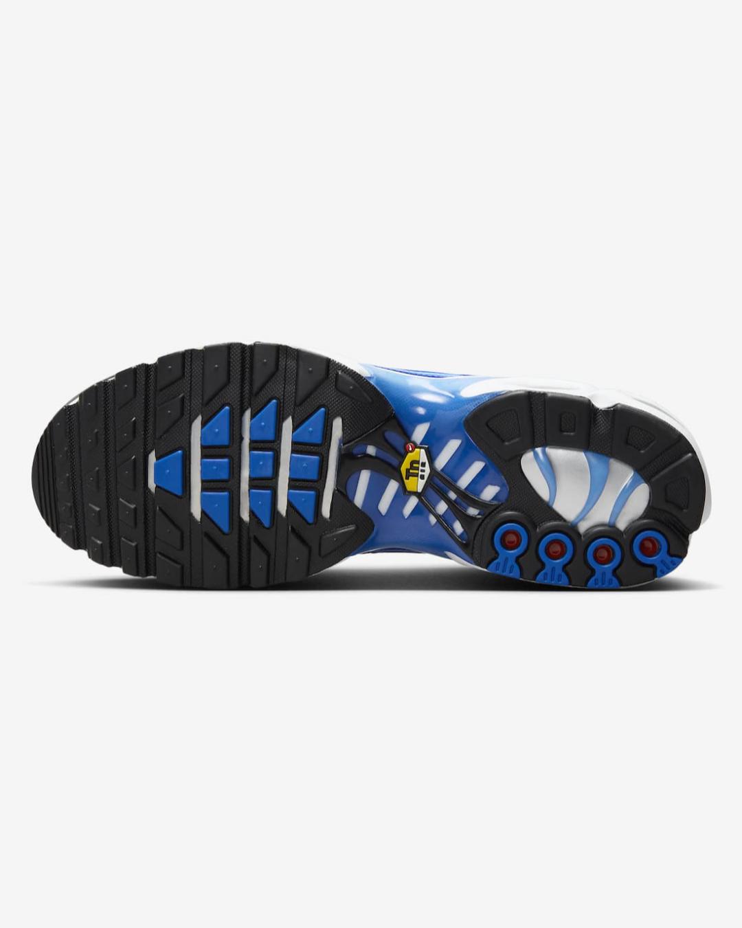Nike Air Max Tn Multicolor DZ3531-400