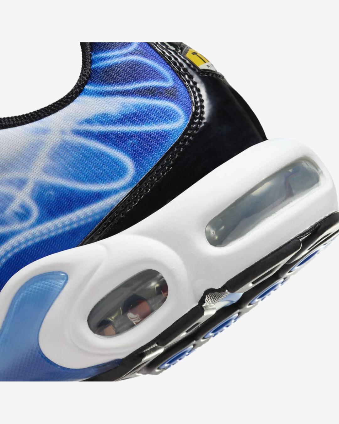 Nike Air Max Tn Multicolor DZ3531-400