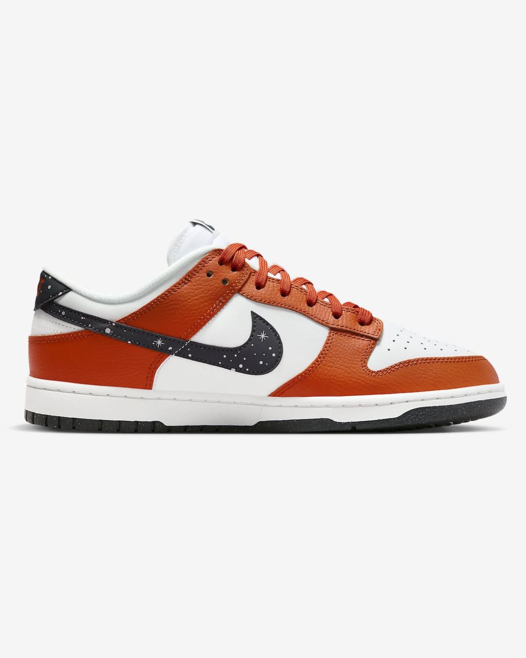 Nike Dunk Low Starry Night FV6909-800